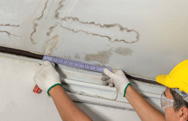 Reliable Water Damage contractor in Brevard, NC by Water Damage Irwin